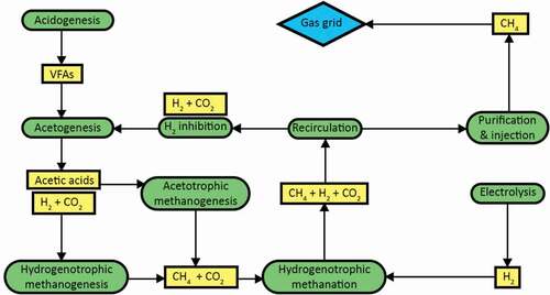 Figure 4. In-situ methanation failure process flow diagram.