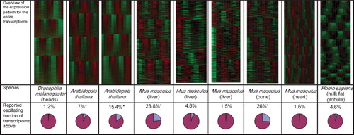Figure 1. Overview of the expression pattern and reported circadian fraction of transcriptome. The heat-map diagrams show higher (red) and lower (green) levels of gene expression for two (four in case of murine heart study) circadian periods for the entire set of transcripts interrogated in the analysis. The algorithm generating heat-maps of time-line gene expression is explained in Supplementary Figure 1. For the original reports marked (*) there is available reanalysis reporting circadian oscillation in nearly 100% of corresponding transcriptome.