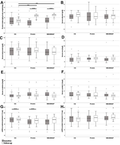Figure 3 Biomarkers of protein metabolism and renal health of the intervention groups at baseline and follow-up. (A) daily protein intake of the participants, (B) albumin, (C) total protein, (D) urea, (E) creatinine, (F) cystatin C, (G) creatinine-based eGFR and (H) cystatin C-based eGFR. The boxes represent interquartile ranges with the bold horizontal lines denoting the median. The whiskers show the highest and lowest values within the 1.5-fold interquartile range. The circles represent outliers and asterisks represent extreme outliers. Significant changes within a group and between groups at the same time point are marked with black lines. **p < 0.01; ***p < 0.001.