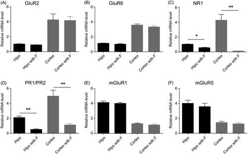 Figure 5. Effects of fucoidan on expressions of iGluRs and mGluRs in neurons. (A–C) Bar graph showed the ratio of iGluRs mRNA to β-actin mRNA in the untreated cells, or the cells treated with fucoidan (0.5 mg/mL) as indicated. (D) Bar graphs showed the ratio of PR1/PR2 mRNA to β-actin mRNA in the untreated cells or the cells treated with fucoidan (0.5 mg/mL). (E, F) Bar graphs showed the ratio of mGluR1 and mGluR5 mRNA to β-actin mRNA, respectively, in the untreated cells, or the cells treated with fucoidan (0.5 mg/mL). *p < 0.05 or **p < 0.01 vs. the untreated group. Hipo: hippocampal neuron; cortex: cortical neuron; F: fucoidan. N = 3.