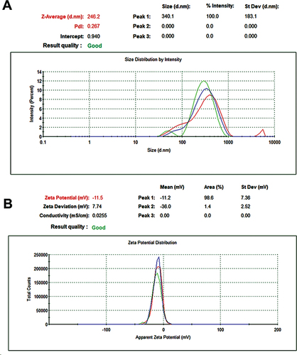 Figure 5. DLS and ZP tests of green synthesized SeNPs. (A) Determination of Size (nm) using DLS. (B) Detection of zeta potential average (mV).