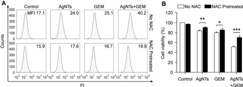 Figure 5 Effect of AgNTs, GEM or their combination on intracellular ROS production and viability of U87 cells pretreated with or without NAC.