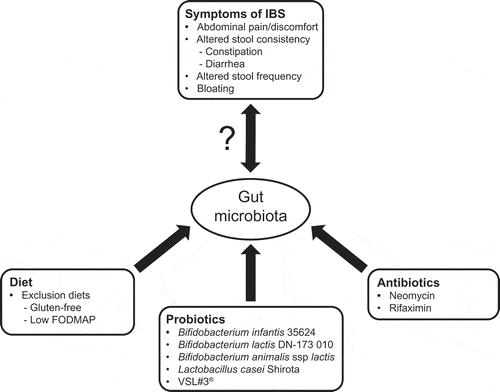 Figure 1. Impact of gut microbiota in IBS. The potential role of gut microbiota in IBS symptoms and putative modulators of gut microbiota (e.g. diet, probiotics, antibiotics).FODMAP: fermentable oligo-, di-, and monosaccharides and polyols; IBS: irritable bowel syndrome.