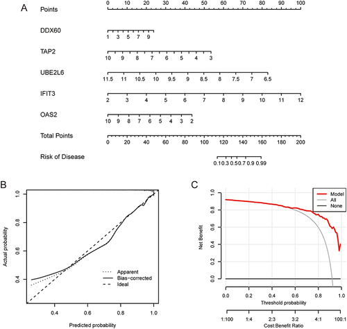 Figure 10 Nomogram model of five key PANoptosis-related sepsis predictor genes. (A) Construction of a nomogram model. Calibration curve (B) and DCA (C) to evaluate the predictive performance.