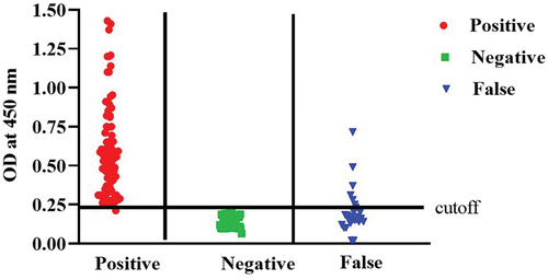 Figure 7. The cut-off value of ELISA assay and testing of human sera for the presence of IgG antibodies directed to SARS-CoV-2 N-protein using the optimized ELISA conditions. False group means both false positive and false negative. The cutoff value of the developed assay was determined as follow:Cutoffvalue=meanvaluesofnegativesamples+3×standarddeviation.