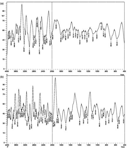 Figure 4. FTIR absorption spectra of the P. maderaspatensis leaf biomass: (a) before bioreduction and (b) after bioreduction with Ag NO3.