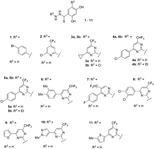 Figure 2. Structures of N′-substituted 2,4-dihydroxybenzocarbothiohydrazides (1–11).