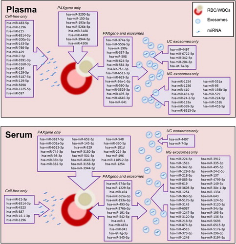Fig. 6.  Schematic summary of unique miRNA detected in intracellular, cell-free and exosomal samples prepared from plasma and serum.
