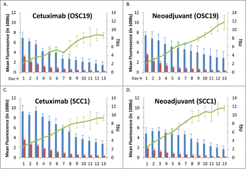 Figure 3. Tumor, Background and TSU values of OSC-19 and SCC-1 Flank Model.Daily tumor (blue), background (red), and TSU (green line) plotted with mean ± SD. (A) Cetuximab group, OSC-19 cell line (B) Neoadjuvant group, OSC-19 cell line (C) Cetuximab group, SCC-1 cell line (D) Neoadjuvant group, SCC-1 cell line.