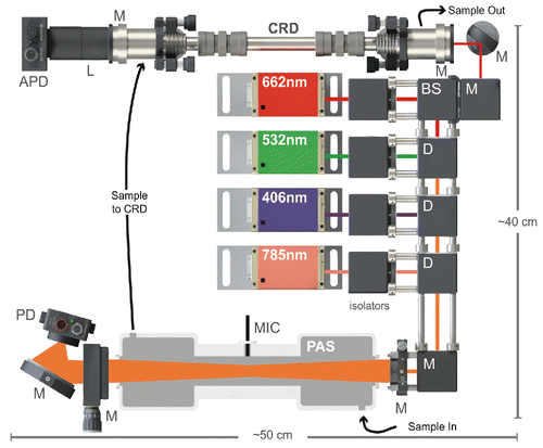 Figure 1. Schematic diagram of the PAS. M = mirror, D = dichroic mirror, L = lens, BS = 90:10 beamsplitter, and (A)PD = (avalanche) photodiode.