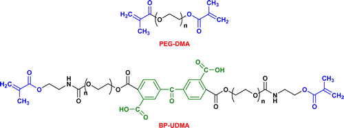 Scheme 2. Structures of the poly(ethylene glycol) dimethacrylate (PEG-DMA) and poly(ethylene oxide) dimethacrylate with benzophenone unit (BP-UDMA) used in the photopolymerization experiments.