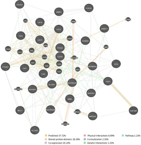 Figure 3 The network of predicted CA targets. Each node represents a predicted target gene or a gene associated with these target genes. The node size represents the strength of interactions. The inter-node connection lines represent the types of gene-gene interactions, and the line color represents the types of interactions. Firstly, genes corresponding to the aforementioned protein targets were submitted for further query, then the functional correlation between targets was analyzed by GeneMANIA.