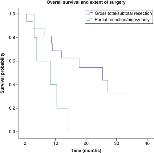 Figure 4. Overall survival and extent of surgery.Median overall survival depending on the extent of surgery was 25.33 months (IC 95%: 5.54–45.12) for complete and subtotal resection and 8.23 months (IC 95%: 0.0–17.75) for partial resection or biopsy only (IC), p = 0.014. n = 16, complete/subtotal resection; n = 6, partial resection/biopsy.