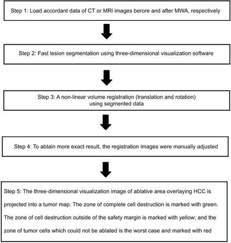 Figure 2 Flowchart shows procedure for three-dimensional visualization of image fusion and tumor map generation.Abbreviations: MWA, microwave ablation; HCC, hepatocellular carcinoma; CT, computed tomography; MRI, magnetic resonance imaging.