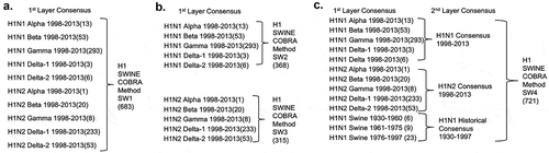 Figure 1. Designs of Swine COBRA HA sequences. Swine and human COBRA swine genotypic characteristics. (a–c) Description of the number of original sequences from each of phylogenetic clade input into SW1 (a), SW2, SW3 (b), and SW4 (c).