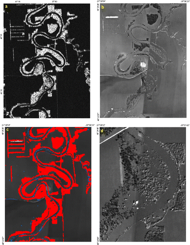 Figure 8.  Mapping of missing areas due to forest presence along the Red River: (a) Radarsat-1 product of 24 April 1997; (b) aerial view; (c) mapping of the same zone as missing areas; and (d) enlarged view of the high-resolution image shows that the forest surfaces were covered by water.