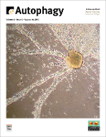 Cover image for Autophagy, Volume 6, Issue 6, 2010