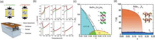 Figure 1. (a) Diagram of the experimental configuration and device used to detwin single crystals in situ. The order of magnitude estimation of the force on samples can be obtained by estimating the curvature of the cantilever [29]. (b) Temperature dependence of the in-plane resistivity ρa (green) and ρb (red) of Ba(Fe 1−xCo x) 2As 2. Solid and dashed vertical lines mark critical temperatures for the structural and magnetic phase transitions T s and T NCitation29. (c) and (d) Phase diagrams of Ba(Fe 1−xCo x) 2As 2 and FeSe 1−xS x with inserts showing the crystal structures of their parent compounds, respectively [Citation30–32]