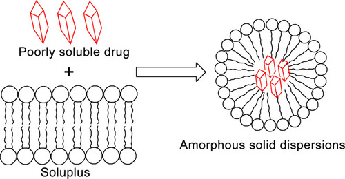 Figure 3 A schematic representation of drug-Soluplus ASDs.