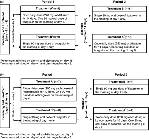 Figure 1. Study design. (a). Diltiazem study (n = 17). (b). Ketokonazole study (n = 14).