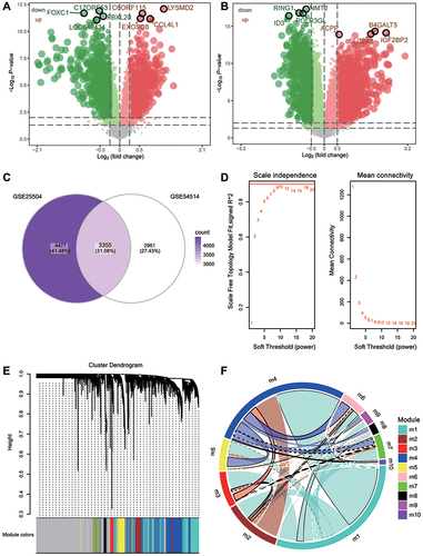 Figure 2 Coexpression network of differentially expressed genes. (A) Genes differentially expressed between sepsis patients and controls in the GSE54514 dataset. Green nodes represent down-regulation in sepsis; red nodes, up-regulation; and grey nodes, no significant difference from controls. The five genes most significantly up- or down-regulated, based on log2(fold change), are marked using symbols. (B) Genes differentially expressed between sepsis patients and controls in the GSE25504 dataset. Green nodes represent down-regulation in sepsis; red nodes, up-regulation; and grey nodes, no significant difference from controls. The five genes most significantly up- or down-regulated, based on log2(fold change), are marked using symbols. (C) Intersection of differentially expressed genes (DEGs) in the GSE54514 and GSE25504 datasets. The count on the left refers to DEGs unique to GSE54514; the count in the middle, DEGs common to both datasets; and the count on the right, DEGs unique to GSE25504. (D) Correlation between soft threshold power and scale-free topology model. (E) Cluster tree of coexpression modules of significantly different gene expression. Different colors represent different modules. (F) Crosstalk between modules. The more crosstalk between module genes and other genes, the greater the proportion of the ring is occupied by that module. Different colors represent different modules.