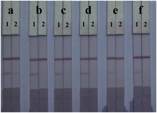 Figure 7. Optimization of 1% surfactants in fish sample. Surfactants: (a) polyethylene glycol, (b) polyvinyl pyrrolidone, (c) BSA, (d) Tween-20, (e) Brij-30, (f) On-870. The concentration of TMS standards: (1) 0 μg/mL, (2) 2.5 μg/mL.