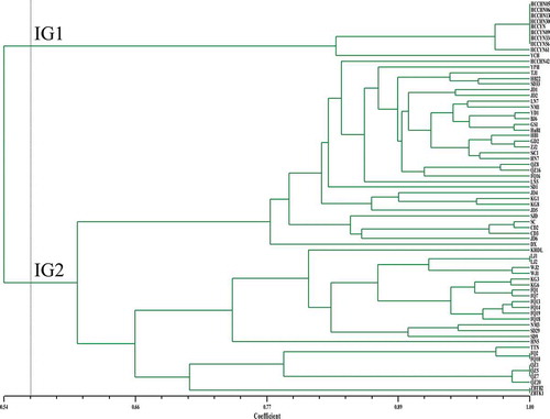 Fig. 2 (Colour online) An unweighted pair group method with arithmetic mean (UPGMA) dendrogram of 69 C. cassiicola isolates obtained from Dicer’s coefficient similarity matrix using iPBS data. The vertical line is represented as a threshold line (the threshold value was 0.564). IG1 and IG2 represent two groups at the threshold value of 0.564.