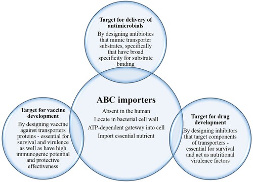 Figure 2. ABC importer features along with unique characteristics that makes them ideal target for the delivery of drugs, and also for the development of novel drug(s) and vaccine(s).