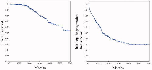 Figure 2. Overall survival and intrahepatic progression-free survival of patients.