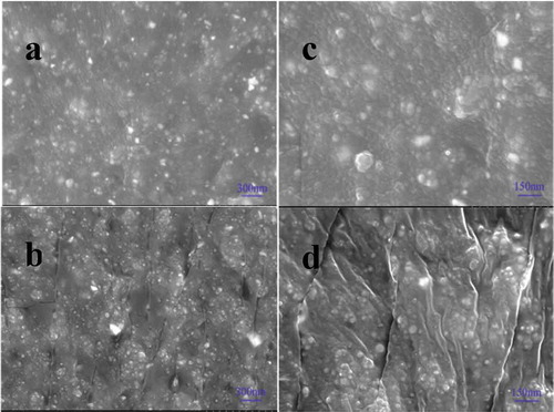 Figure 7. The SEM figures of fracture surfaces of RGO@SiO2/PDMS composites with different filler content (a, b) 30 phr (c, d) 60 phr.