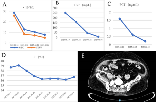 Figure 3 Dynamic changes of laboratory examination. (A) WBC, NEU significantly decreased; (B) CRP significantly decreased; (C) PCT significantly decreased; (D) Temperature returned to normal; (E) Abdominal abscesses has been notably absorbed.