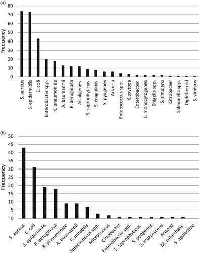 Figure 1. (a) Frequency of bacterial isolates of blood samples (b) Frequency of bacterial isolates of wound samples.