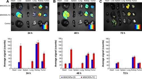 Figure 11 Direct imaging on the excised organs and tissues.Notes: (A) 24 h; (B) 48 h; and (C) 72 h.Abbreviations: MWCNTs-CS, chitosan-conjugated multiwalled carbon nanotubes; MWCNTs-TC, transactivator of transcription–chitosan-conjugated multiwalled carbon nanotubes; h, hours.