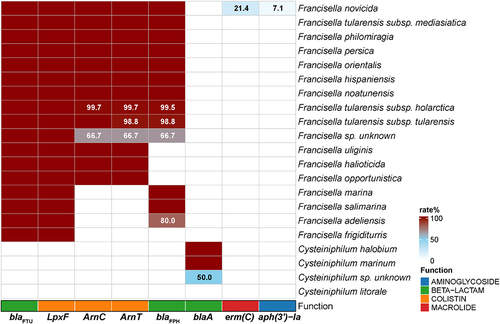 Figure 8. The genotypic profiles of antimicrobial resistance genes on 13 Cysteiniphilum genomes and 1031 Francisella genomes. Color coding is based on the prevalence rate of genes in each species.