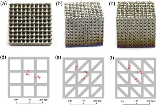 Figure 1. (a) x-z plane, (b) y-z plane and (c) x-y plane of the in-situ alloyed TiTa lattice sample; (d), (e) and (f) show the corresponding planes of the representative CAD models.