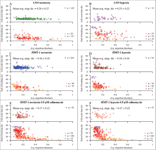 Figure 7. The dependence of average migration directness on cell cycle time and tracking time. Average migration directness describes how far a cell has travelled from the starting point of tracking averaged over the time of tracking. The upper part of each sub-figure shows data for cells with completed cell cycles. The lower part of each subfigure shows data for cells with non-completed cell cycles. The mean average migration directness is calculated for cells with completed cell cycles ± confidence interval of 95% confidence level. The symbols are described in Table 1 and Fig. 2. (A) L929 cells in normoxia. (B) L929 cells in hypoxia (1% O2). (C) JIMT-1 cells in normoxia. (D) JIMT-1 cells in hypoxia. (E) JIMT-1 cells treated with 0.5 µM salinomycin cultivated in normoxia. (F) JIMT-1 cells treated with 0.5 µM salinomycin cultivated in hypoxia. The data are compiled from three experiments.