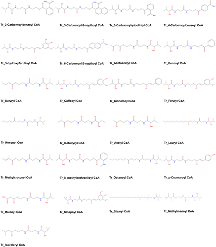 Figure 1. Ligands of CfCHS. Structure of 25 ligands used in docking study of CfCHS in this study.