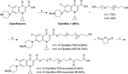 Scheme 2 Synthesis of N-CiproBoc-TEG-succinate 3 and N-CiproBoc-HEG-succinate 10. (a) Di-t-butyl dicarbonate, sodium hydroxide, water: Dioxane (1:1), 96%; (b) 1-(3-dimethylaminopropyl)-3-ethylcarbodiimide, dimethylaminopyridine, dichloromethane, 20 h; and (c) triethylamine, dichloromethane, 12 h.Abbreviations: HEG, hexaethylene glycol; TEG, triethylene glycol.