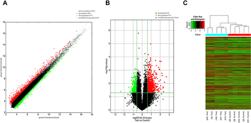 Figure 2 lncRNA expression profile. (A) Scatter plot. (B) Volcano plot of differentially expressed lncRNA. (C) Heatmap analysis. Red and green indicate up- and downregulated lncRNAs, respectively, and black indicates RNAs with no significant differential expression. The five left and right columns represent CSU patients and healthy controls, respectively.
