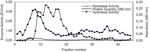 Figure 1.  Elution graph of CA from sturgeon fish erythrocytes with 0.1 M NaCl/25 mM Na2HPO4 (pH 6.3) and 0.1 M CH3COONa/0.5 M NaClO4 (pH 5.6) (flow rate: 20 mL, fraction volume: 3 mL).