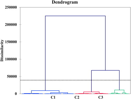 Figure 5. Dendrogram showing clustering of sampling stations River Swat and River Panjkora water quality features.