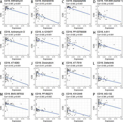 Figure 11 The relationship between CD19 expression and drug response was predicted. (A) Mithramycin, (B) momelotinib, (C)depsipeptide, (D) TAK-659 (isomer 1), (E) actinomycin D, (F) A-1210477, (G) PF-03758309, (H) A-911, (I) AT-9283, (J) doxorubicin, (K) AT-7519, (L) defactinib, (M) BMS-387032, (N) PF-562271, (O) KW-2449, and (P) MG-132.