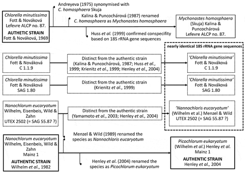 Fig. 1. Summary of the nomenclatural problems in the case of some coccoid green algal isolates [Chlorella minutissima Lefevre ALCP no. 87, ‘C. minutissima’ C 1.1.9 and SAG 1.80, Nannochloris eucaryotum Mainz 1 and ‘N eucaryotum’ UTEX 2502 (=SAG 55.87)] according to Fott & Nováková (Citation1969), Andreyeva (Citation1975), Wilhelm et al. (Citation1982), Kalina & Puncochárová (Citation1987), Menzel & Wild (Citation1989), Huss et al. (Citation1999), Krienitz et al. (Citation1999), Yamamoto et al. (Citation2003) and Henley et al. (Citation2004). Misinterpreted strains (C 1.1.9; SAG 1.80 and UTEX 2502) are framed with thin dashed lines and authentic strains with thick, continuous lines. Strains possessing nearly identical 18 rRNA gene sequences are grouped in a box with thick dashed lines and are the subjects of this study.