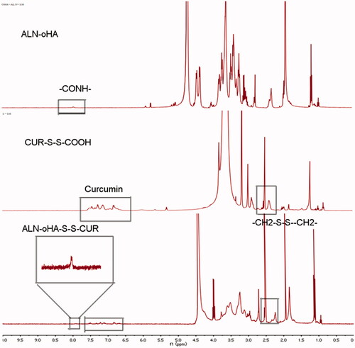 Figure 3. The 1H-NMR spectra. ALN-oHA, HOOC-S-S-CUR and ALN-oHA-S-S-CUR.