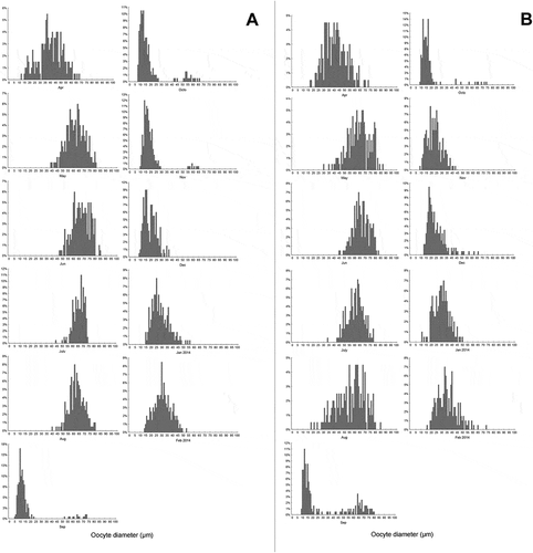 Figure 3. Size-frequency histograms of Arca noae oocyte diameters measured for females collected from April 2013 to February 2014 in (A) Telascica Bay and (B) Pasman Channel