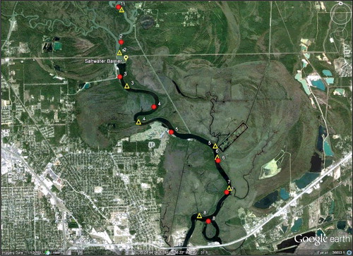 Figure 2. Seine (circles) and gillnet and water quality sites (both represented by triangles) during summer 2012. Differences in water quality (optics) above the saltwater barrier, below the saltwater barrier, and within the MeadWestvaco paper mill effluent delivery canal and rectangular collecting pond witin the Beaumont Unit are apparent in this GoogleEarth® image.