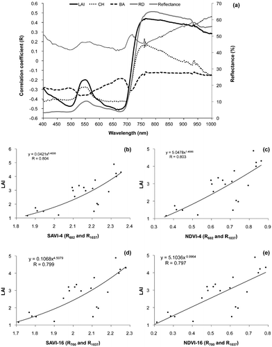 Figure 5. (a) Correlograms constructed by correlation coefficient values (of percent reflectance against LAI, CH, BA and RD) against variations with wavelength and scatter plots showing power regression models that best predicts the LAI using (b) SAVI (R602 and R1037), (c) NDVI (R602 and R1037), (d) (R700 and R1037) and NDVI (R700 and R1037).