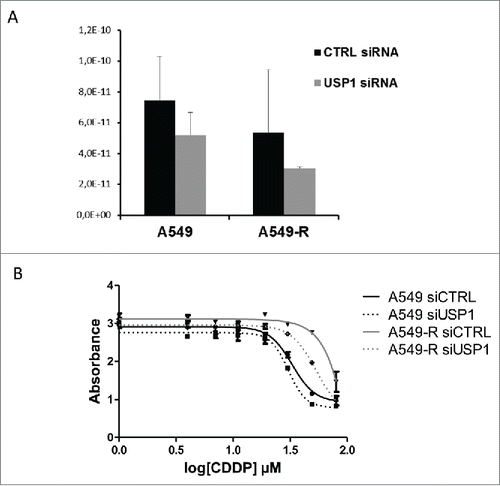 Figure 2. siRNA-mediated silencing of USP1 partially re-sensitize A549-R cells to CDDP (A) RNAs from A549 and A549-R transfected with USP1-targetting or control siRNA were isolated. qPCR was performed to assess USP1 mRNA levels. Error bars represent standard error of the mean. (B) CDDP dose-response of A549 and A549-R cells transfected with control or USP1-targetting siRNA as indicated. Drug treatment was started 24 h after transfection.  Cell survival was measure after 48 h exposure to CDDP using a colorimetric proliferation assay. The IC50 of CDDP was determined by non-linear fitting of the absorbance. Error bars represent standard error of the mean.