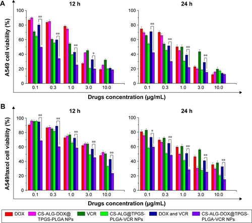 Figure S4 The compare of in vitro cytotoxic between free drugs (DOX, VCR, DOX and VCR) and drug-loaded nanoparticles (CS-ALG-DOX@TPGS-PLGA NPs, TPGS-PLGA-VCR NPs, or CS-ALG-DOX@TPGS-PLGA-VCR NPs) at various concentrations for 12 h and 24 h, respectively. (A) A549 cell and (B) A549/taxol cell.Notes: Data are presented as mean values ± SD (n=3). *P<0.05 and **P<0.01.Abbreviations: CS-ALG-DOX NPs, chitosan-alginate nanoparticles carrying doxorubicin; TPGS-PLGA-VCR NPs, vitamin E d-α-tocopheryl polyethylene glycol 1000 succinate-modified poly(lactic-co-glycolic acid) nanoparticles carrying vincristine; SD, standard deviation; DOX, doxorubicin; VCR, vincristine; NPs, nanoparticles; CS-ALG-DOX@TPGS-PLGA-VCR NPs, CS-ALG-DOX nanoparticles located at TPGS-PLGA-VCR NPs.