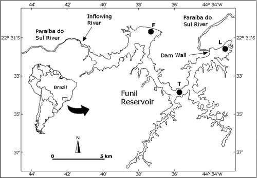Figure 1 Study area, Funil Reservoir, showing the 3 sampling zones: F, fluvial; T, transitional; L, Lacustrine.